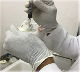 rat-injection